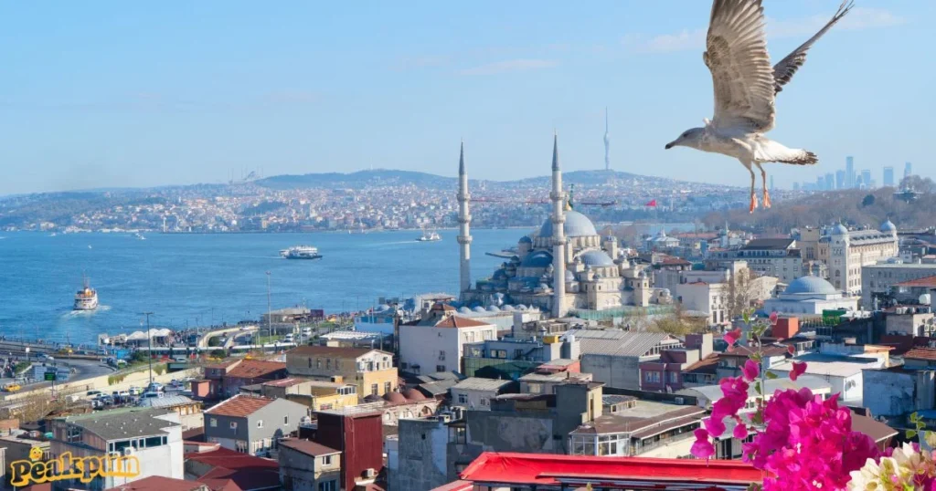 Istanbul Puns And Jokes